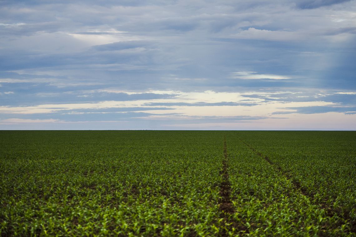 Como mudar as formas de liderar no agronegócio com a transformação digital. Foto: Marcelo Camargo/Agência Brasil