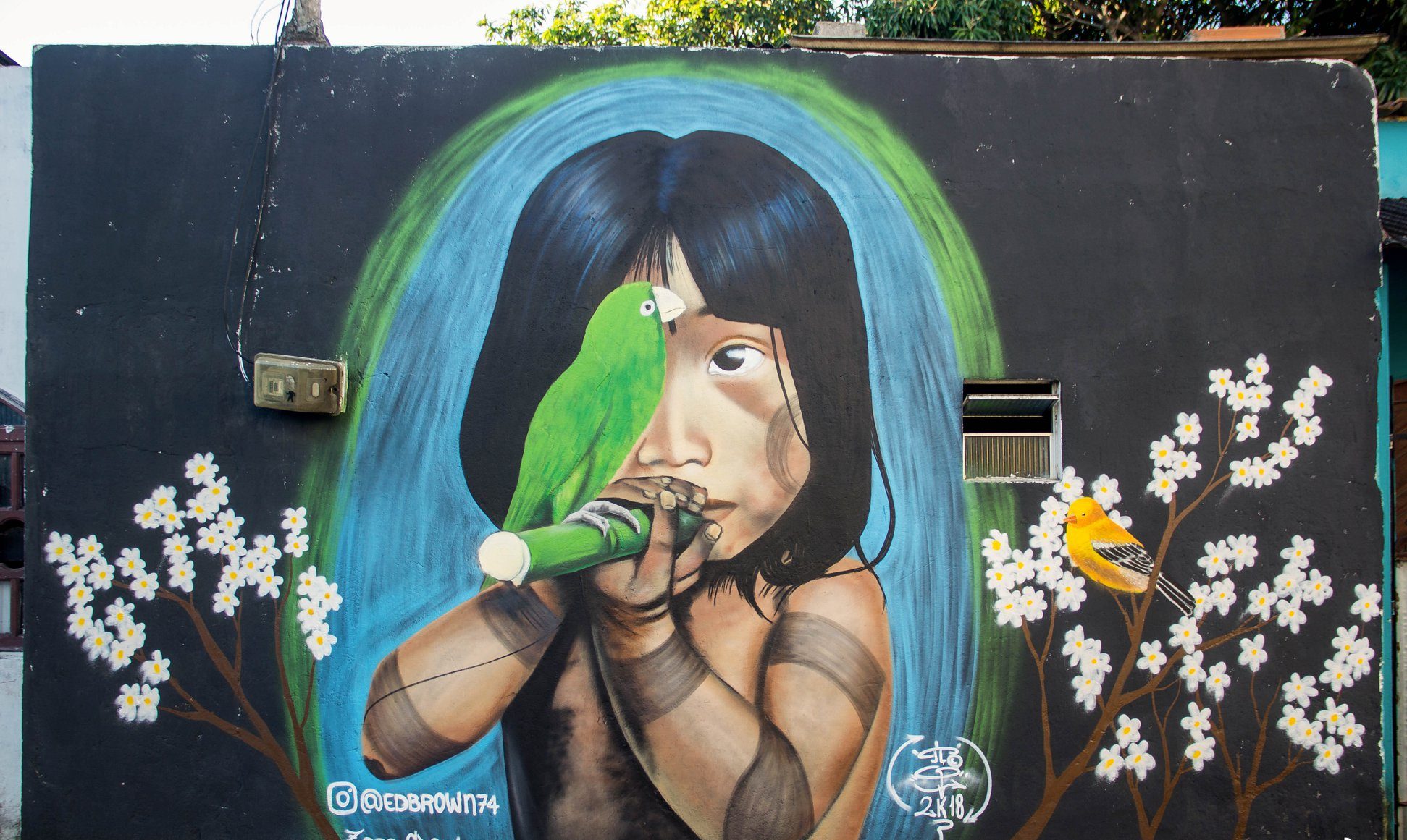 Grafite Feu Rosa
