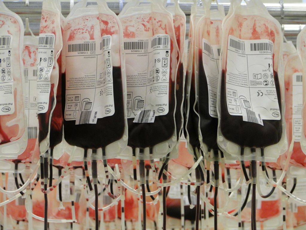 Hematologista fala sobre importância da doação de sangue nos períodos de festas. Foto: Sabin Urcelay/Pixabay