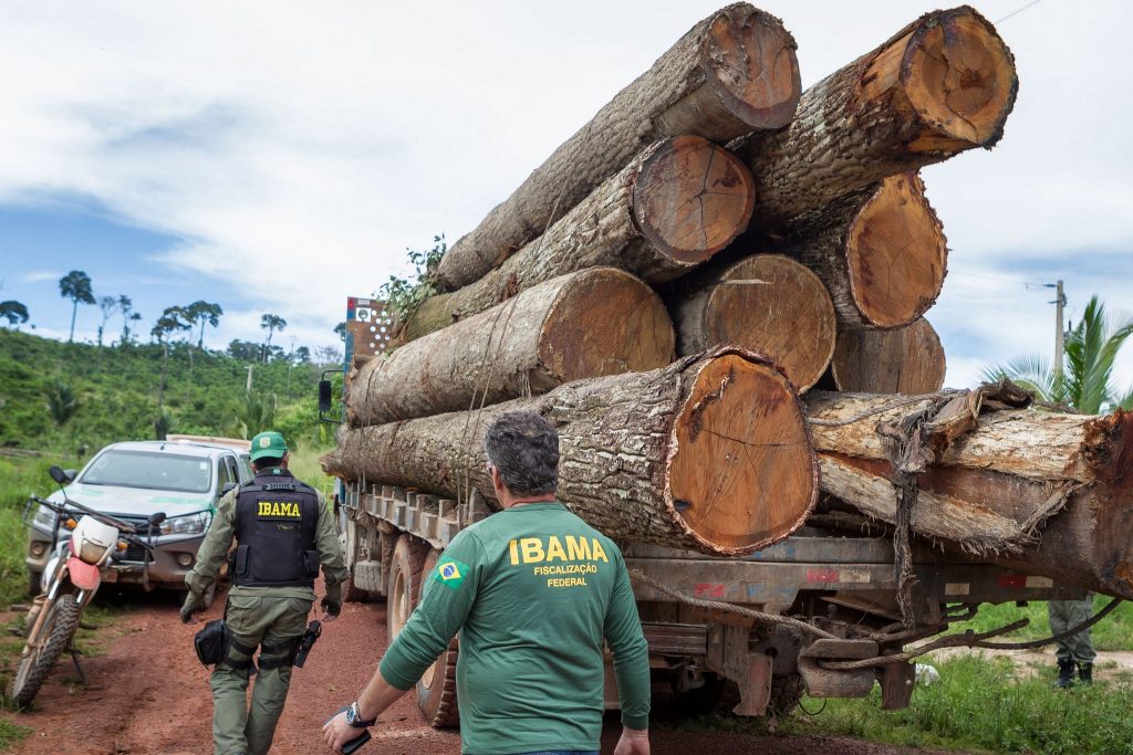 Ocupações na Amazônia receberão escrituras após vistoria a distância. Foto: Vinícius Mendonça/Ibama