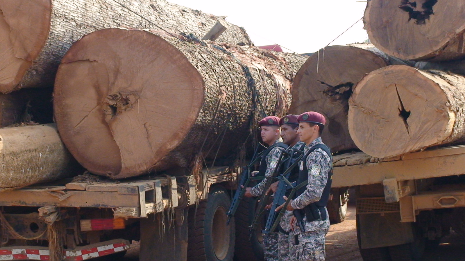 Governo trava repasse de R$ 33 mi que seria destinado à Amazônia. Foto: Divulgação/MJSP