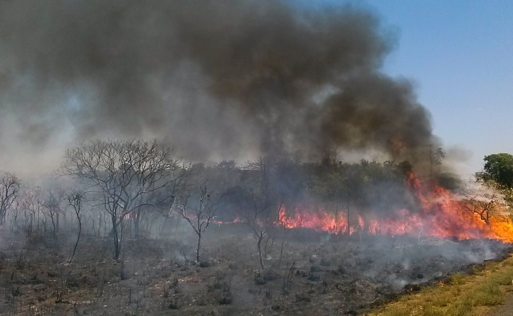 Governo repassa recursos recuperados da Lava Jato para ações da Defesa na Amazônia. Foto: Jose Cruz/Agência Brasil