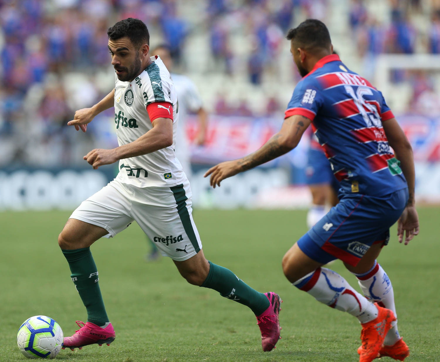 Palmeiras