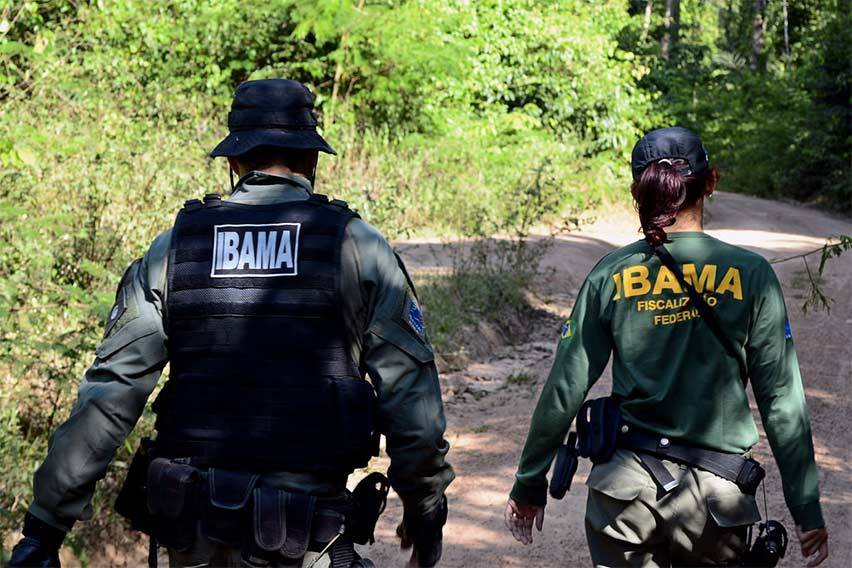 Ibama
