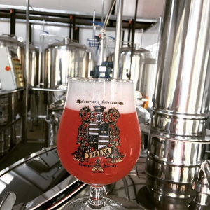 Fruit Lager da cervejaria Trarko. Foto: Reprodução