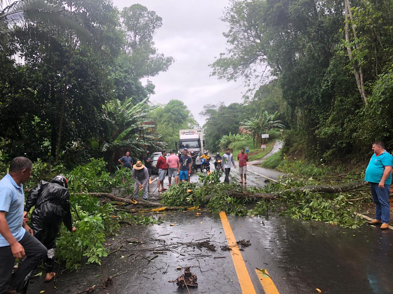 Deslizamento interdita a BR-262 e acessos a Domingos Martins. Foto: Reprodução/WhatsApp