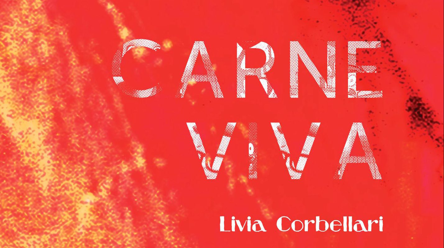 Livro de poesia foca na resistência feminina. Foto: Divulgação