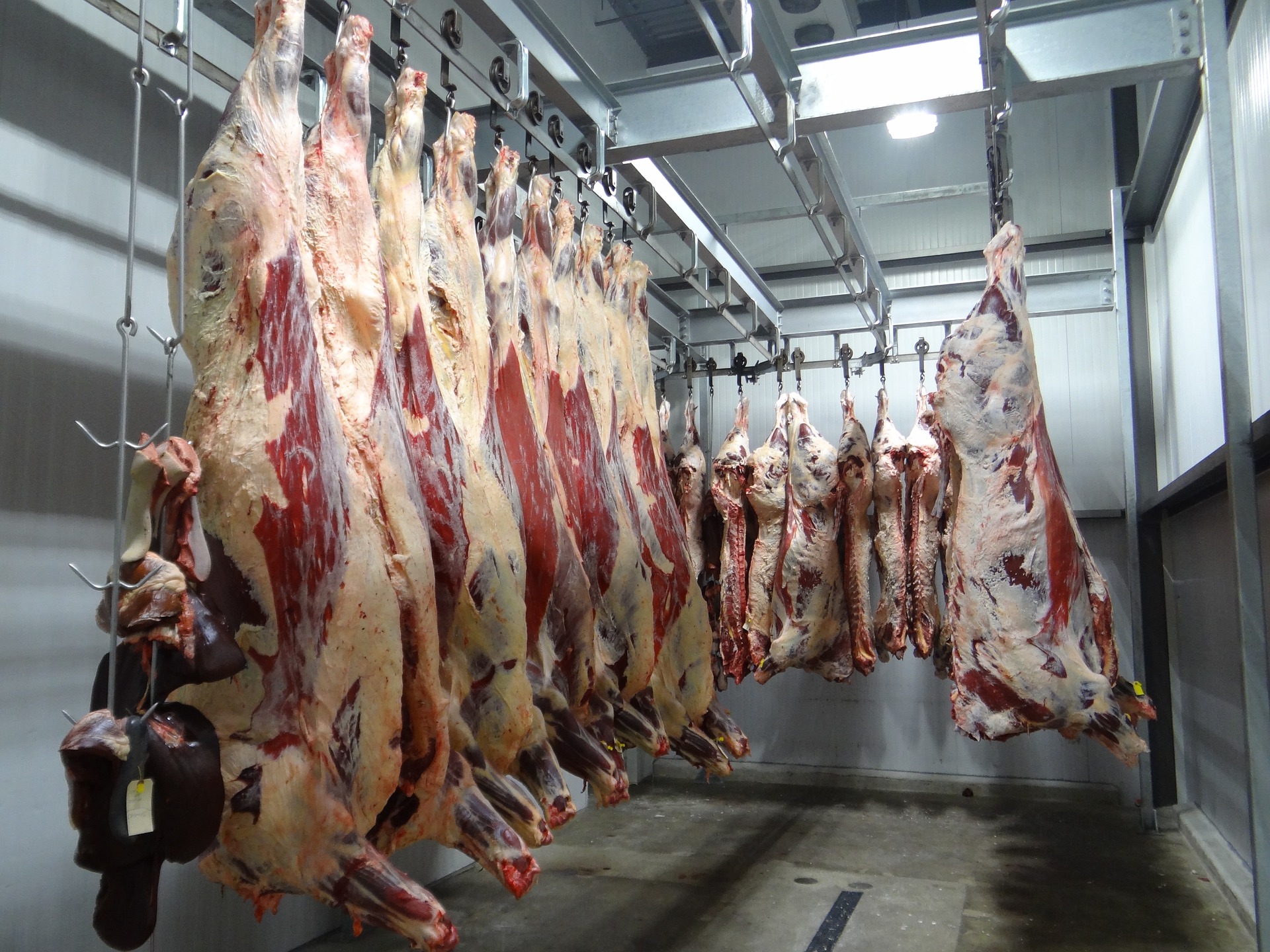 Preço da carne não vai baixar, diz ministra da Agricultura. Foto: Pixabay