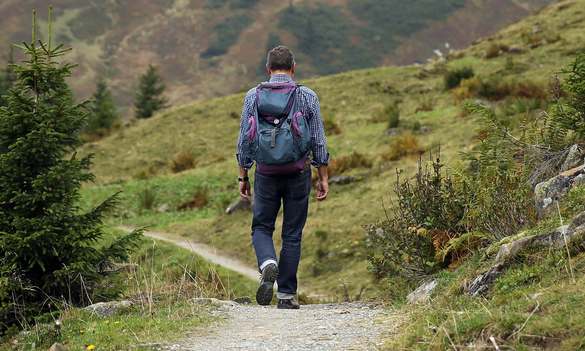 A importância de se praticar atividades ao ar livre. Foto: Hermann Traub/Pixabay