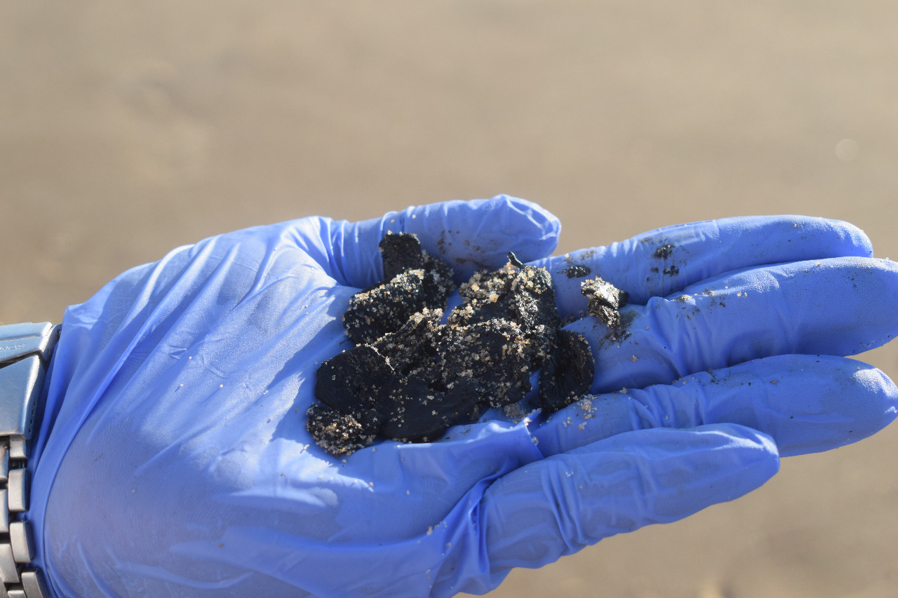 Cerca de 600 gramas de resíduos foram coletados das praias de Conceição da Barra neste domingo (10). Foto: Divulgação/Prefeitura de Conceição da Barra