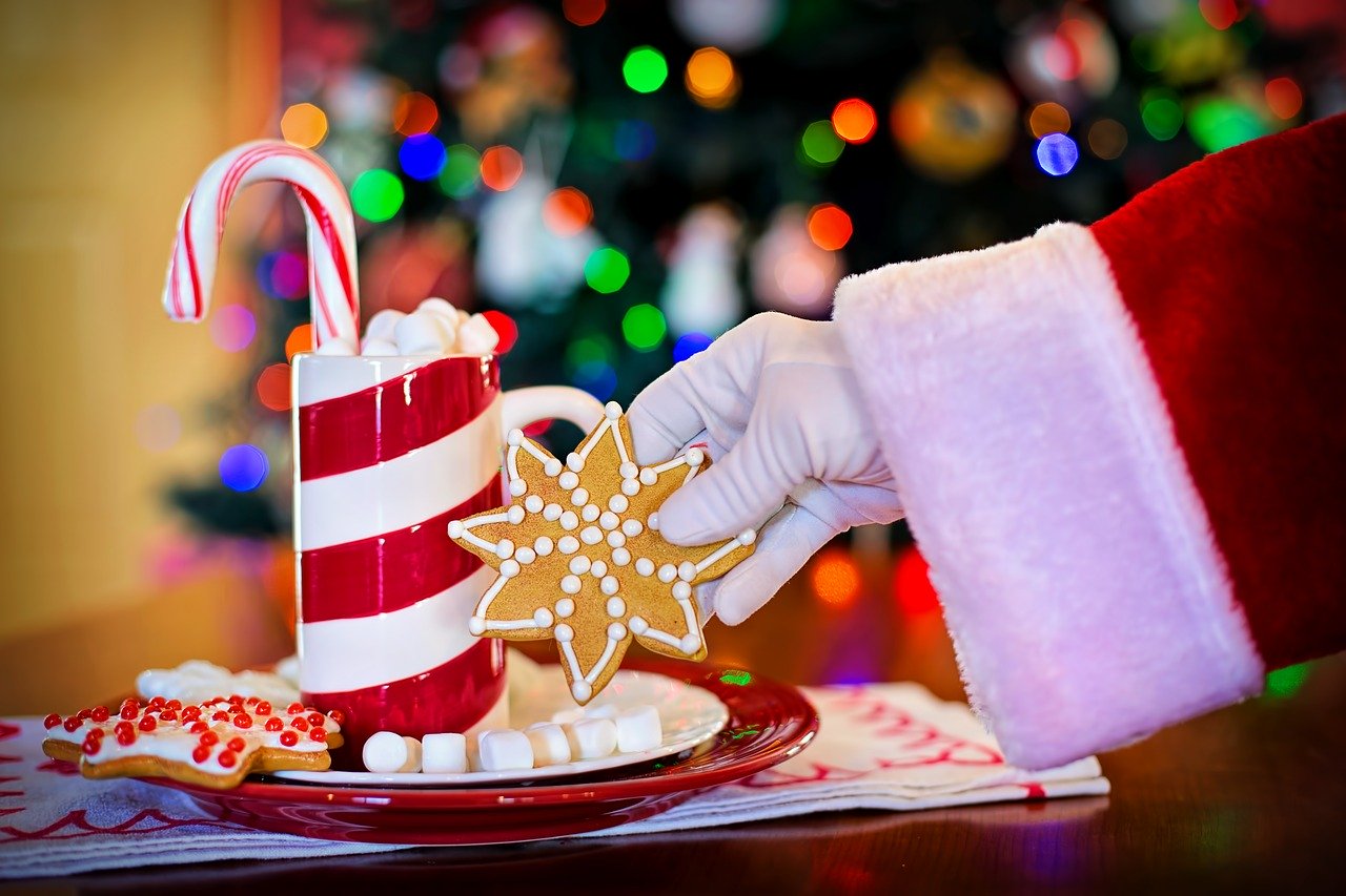 Apesar das diferenças culturais, o Natal costuma ser celebrado sempre em festas com a troca de presentes. Foto: Jill Wellington/Pixabay 