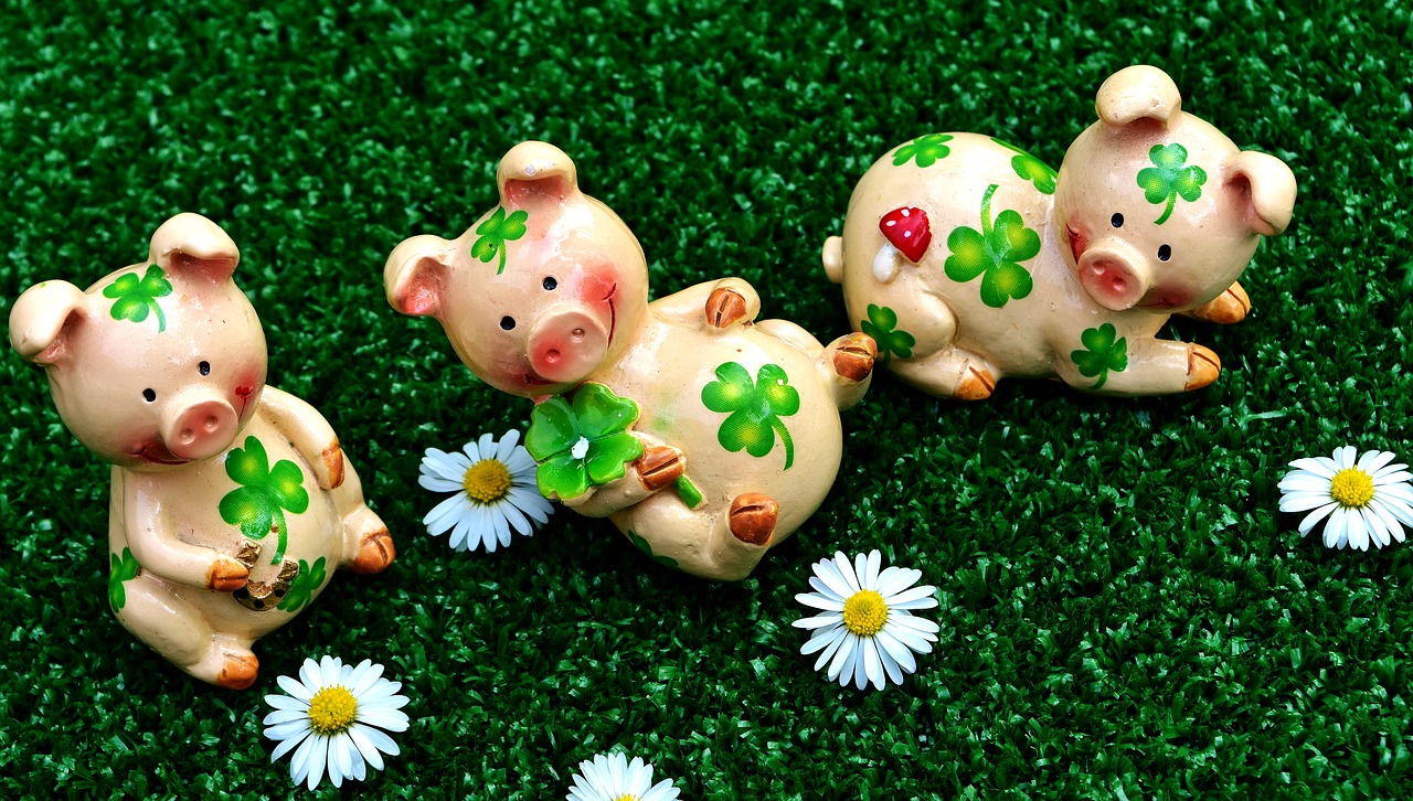 Os porco representam fertilidade, fartura e riqueza para os alemães. Fotos: Pixabay