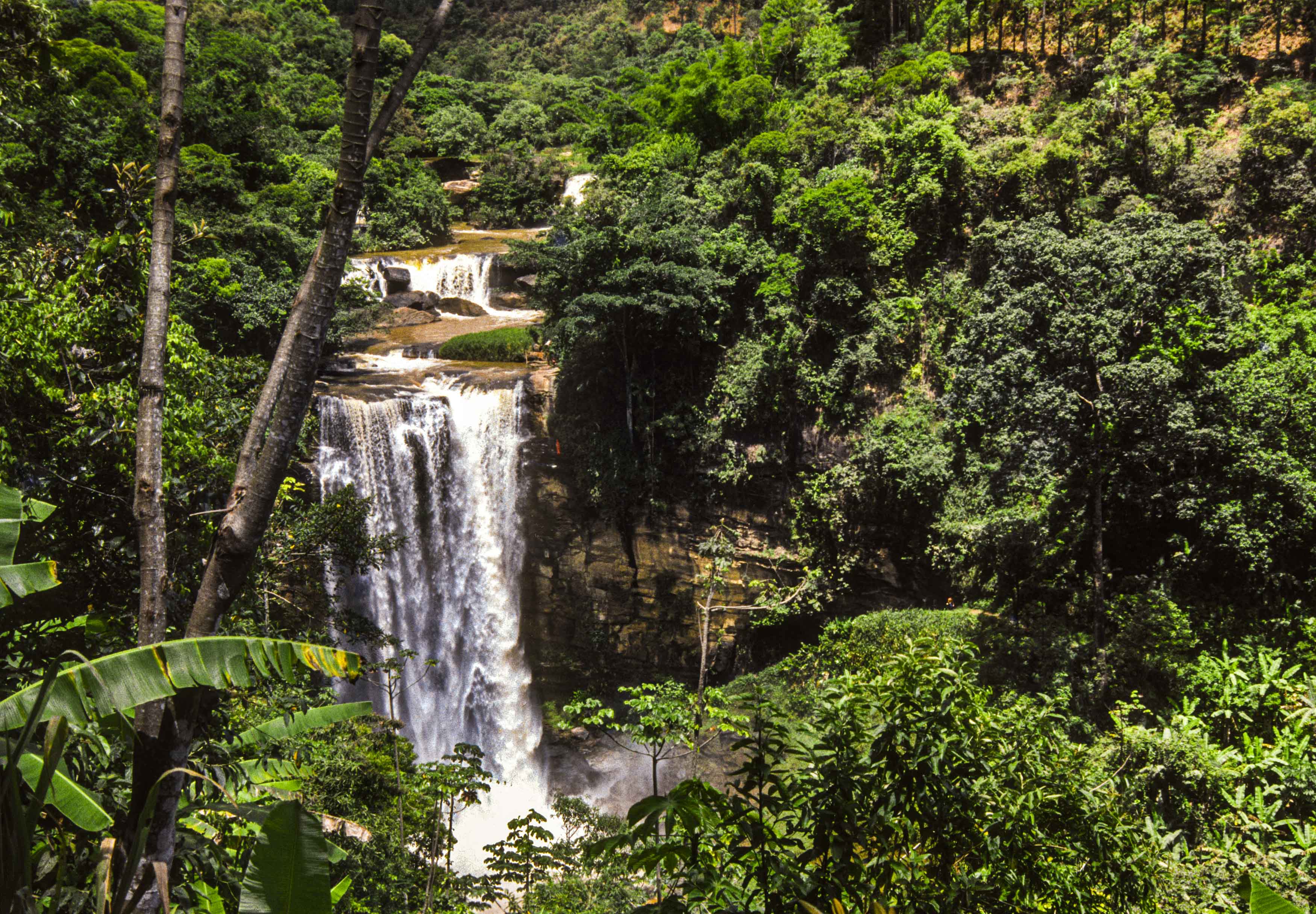 Recantos da natureza são retratados. Foto: Tadeu Bianconi/Mosaico Imagem