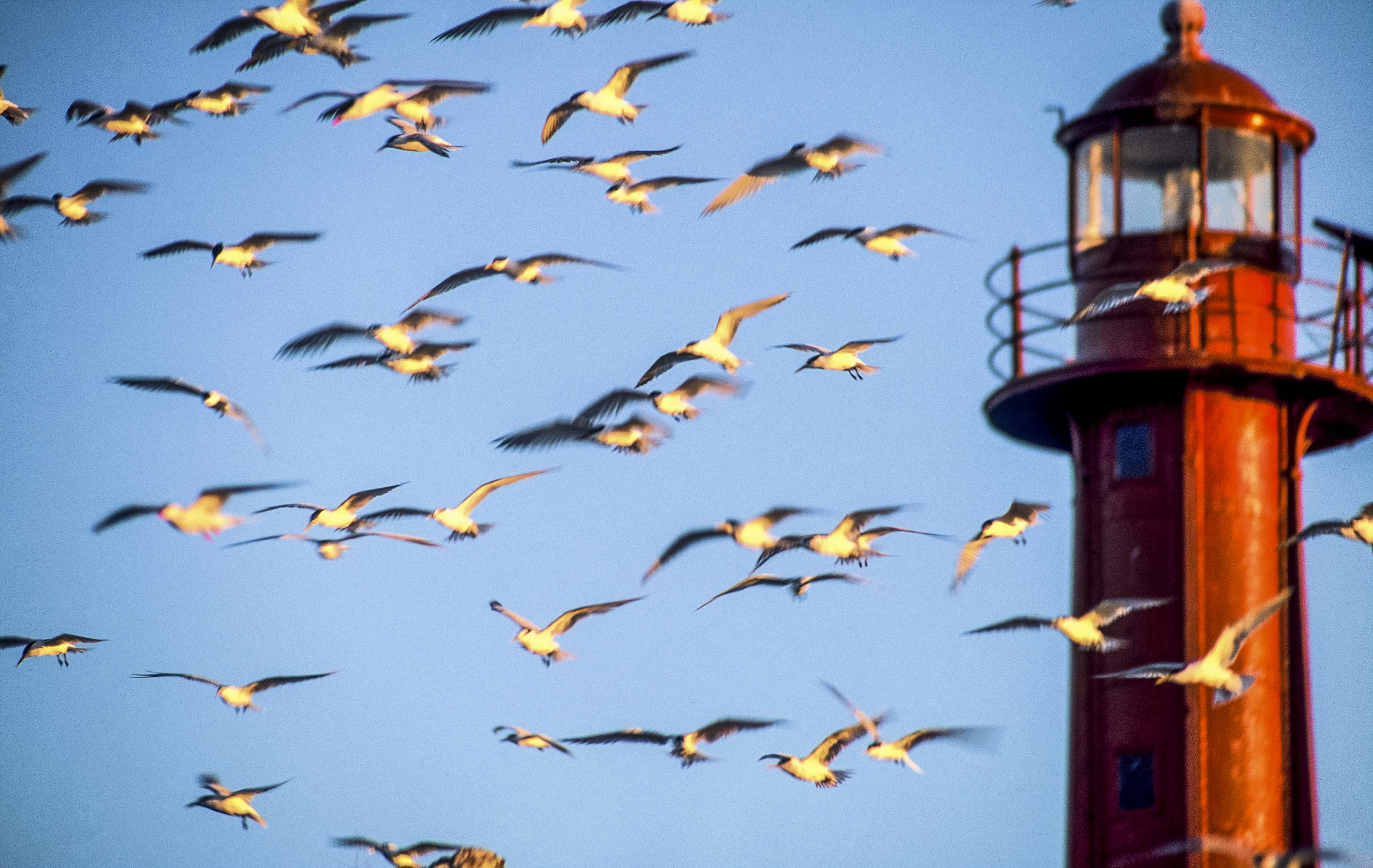 Fotógrafos captaram a beleza de cenas locais. Foto: Tadeu Bianconi/Mosaico Imagem