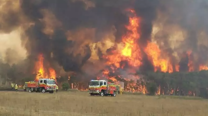 Chamas tomam conta de mata na Austrália. Foto: FRNSW/Fotos Públicas