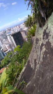 Pedra no Morro do Moreno. Foto: Divulgação/Twitter/Corpo de Bombeiros