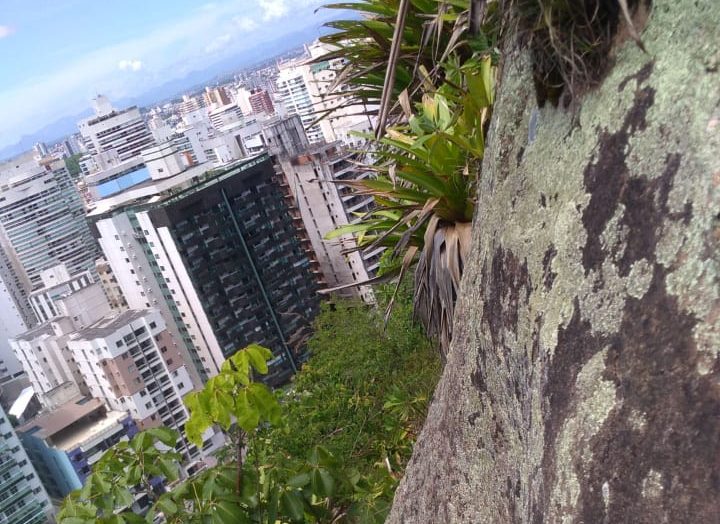 Pedra no Morro do Moreno. Foto: Divulgação/Twitter/Corpo de Bombeiros