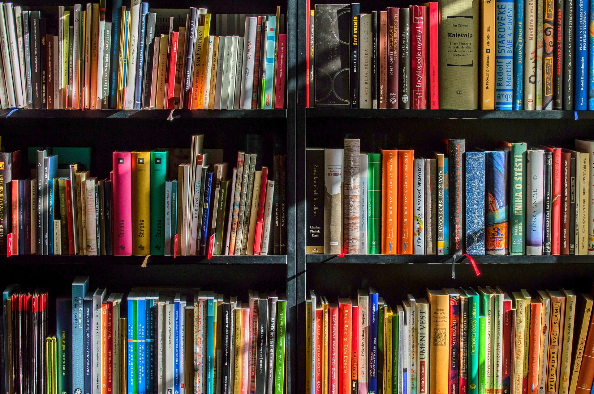 7 livros estão disponíveis de graça para os leitores capixabas. Foto: Pixabay
