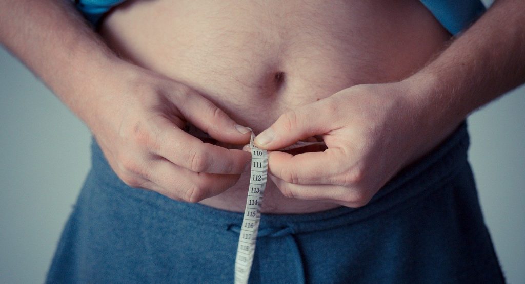 IBGE: obesidade mais do que dobra na população com mais de 20 anos. Foto: Michal Jarmoluk/Pixabay