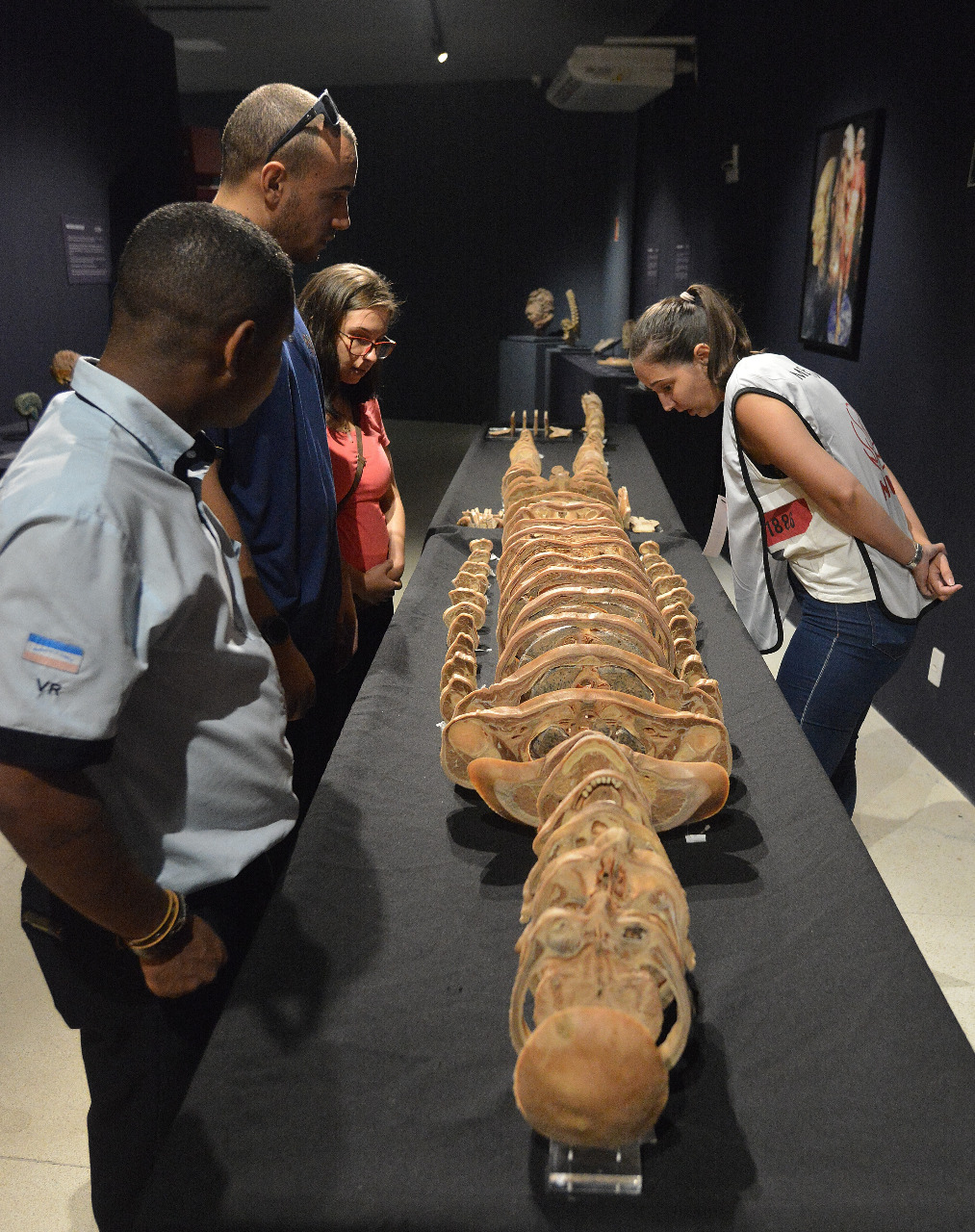 Museu da Ufes mostra corpo humano fatiado. Foto: Chico Guedes