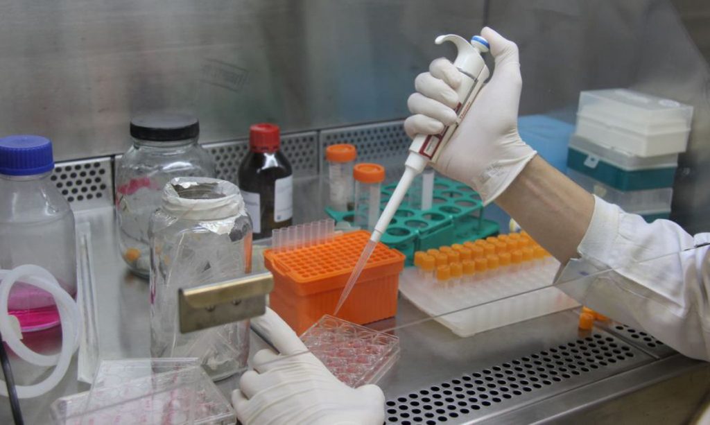 Fiocruz divulga possível eficácia de medicamento contra covid-19. Foto: Fiocruz