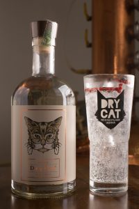 Dry Cat Nut. Foto: Ari Oliveira
