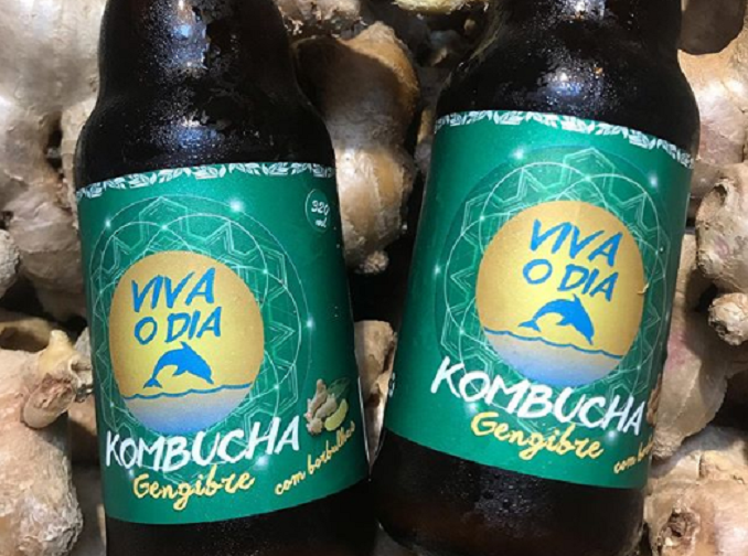 KOMBUCHA VIVAODIA