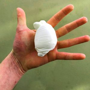 Mozzarella sem lactose da Artelatte Queijos Artesanais. Foto: Divulgação