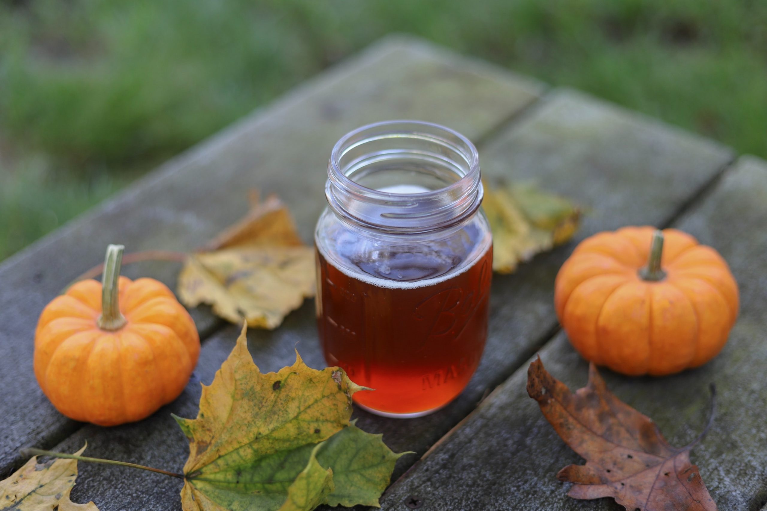 Cervejas com abóbora são feitas na época do Halloween. Foto: Sarah Gualtieri/Unsplash