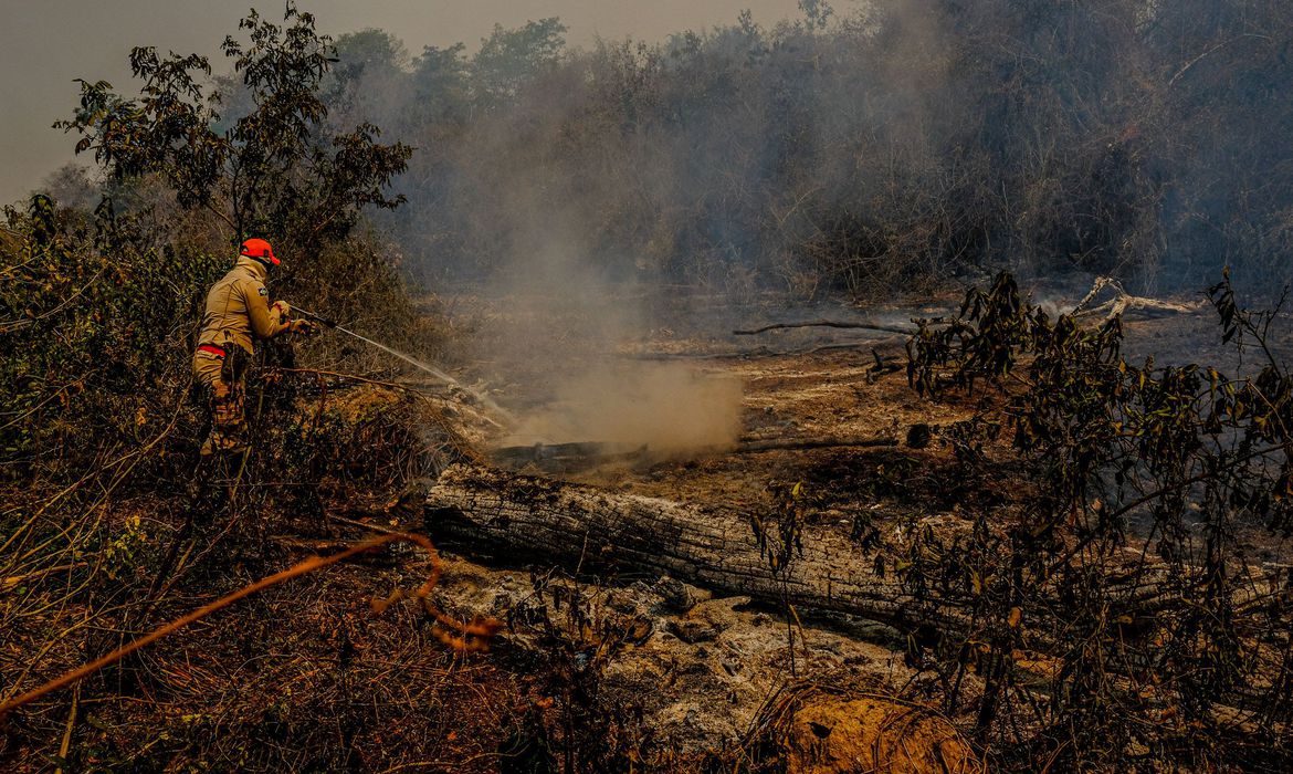 Incêndios no Pantanal. Foto: Mayke Toscano/Secom-MT