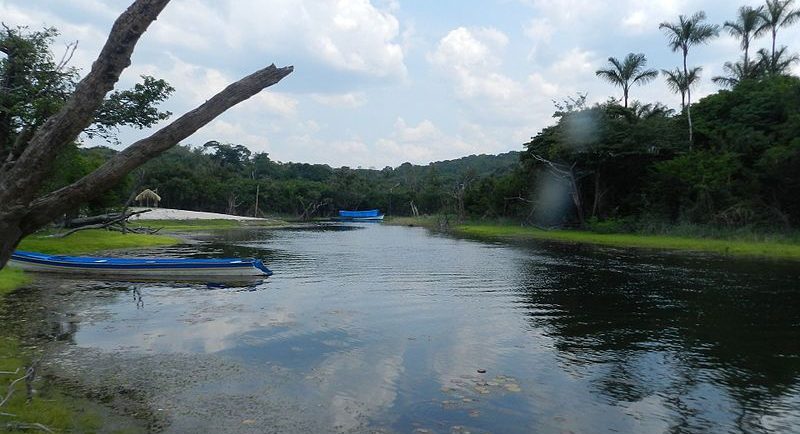 Floresta Nacional do Tapajós, no Pará. Foto: Mariana Cenedesi/Wikimedia Commons