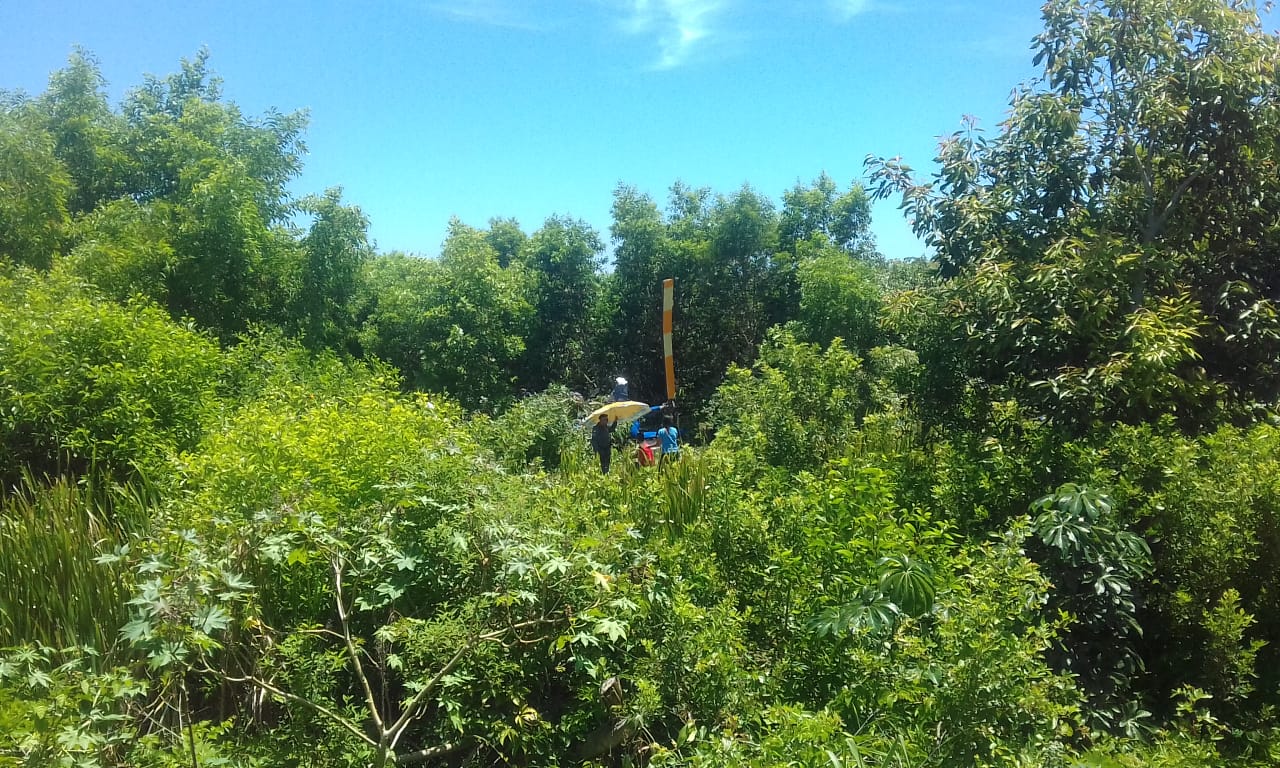Helicóptero caiu na Barra do Jucu, em Vila Velha. Foto: Ouvinte BandNews FM