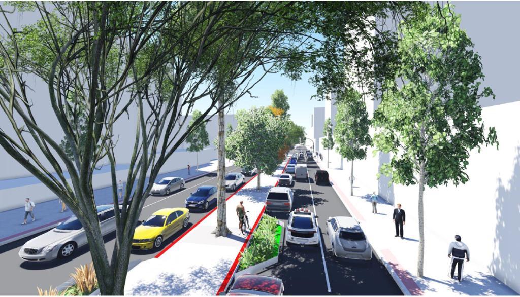 Projeto da ciclovia na avenida Rio Branco, em Vitória. Foto: Divulgação