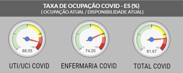 Taxa de Ocupação de Leitos para pacientes com o novo coronavírus. Foto: Reprodução/Sesa