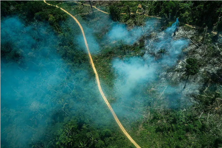 Incêndio florestal na terra indígena Ituna-Itatá, em setembro de 2019, na época de queimadas. Foto: Fábio Nascimento/GreenPeace
