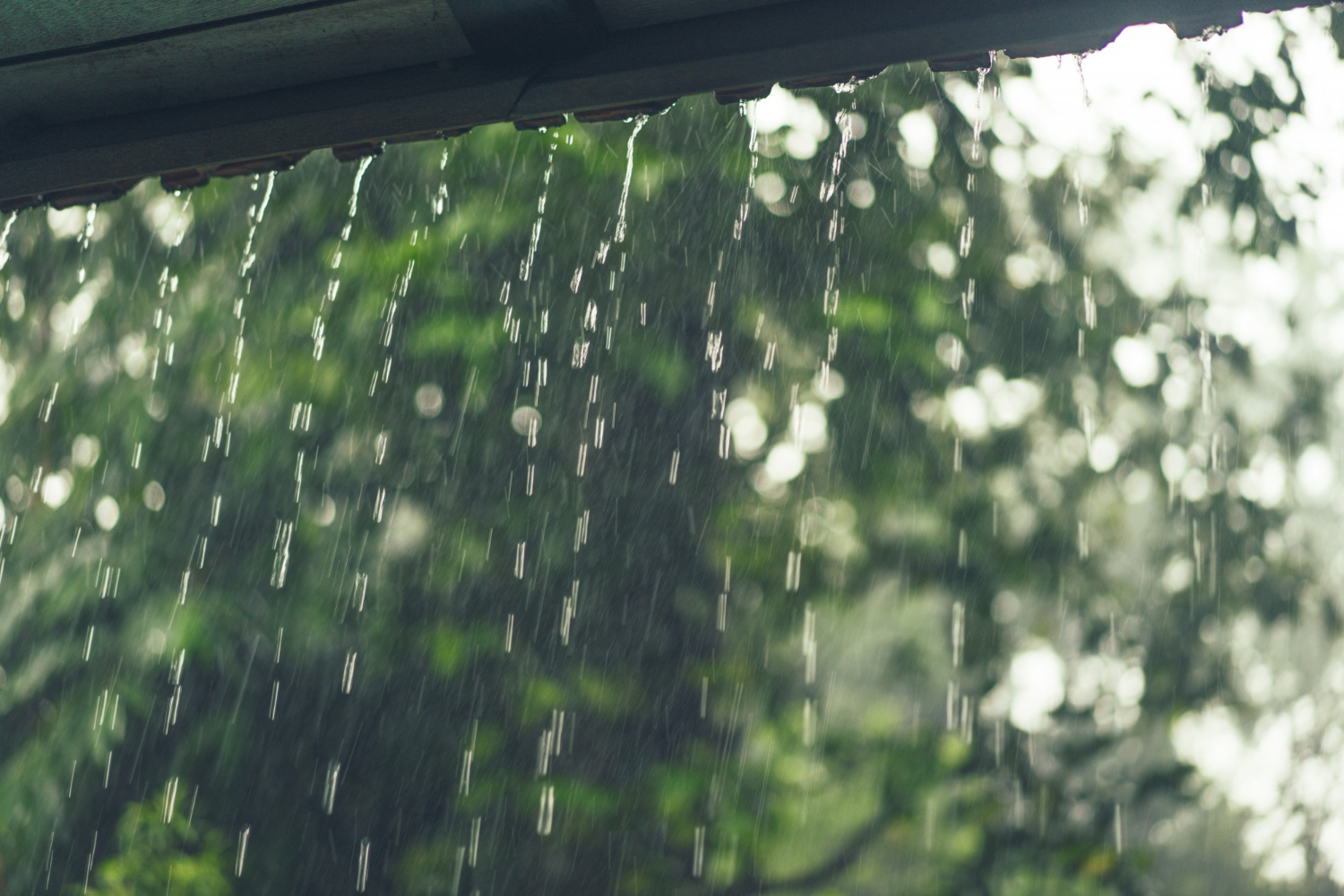 Chuva; tempestade. Foto: FreePik