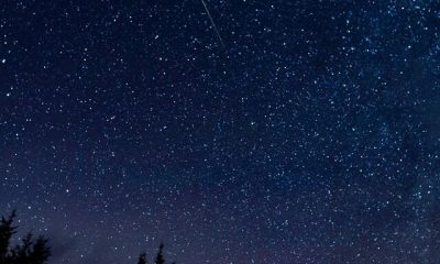 Chuva de meteros Perseidas em 13 de agosto de 2015. Foto: NASA/Bill Ingalls