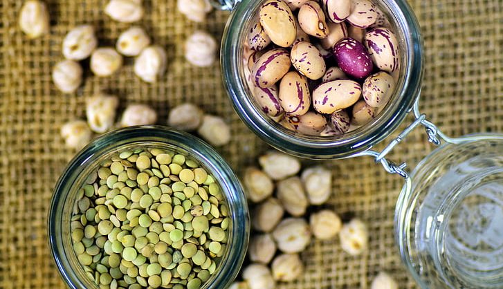 Leguminosas como o grão de bico, lentilha e feijão possuem alto teor proteico. Foto: Hippopx