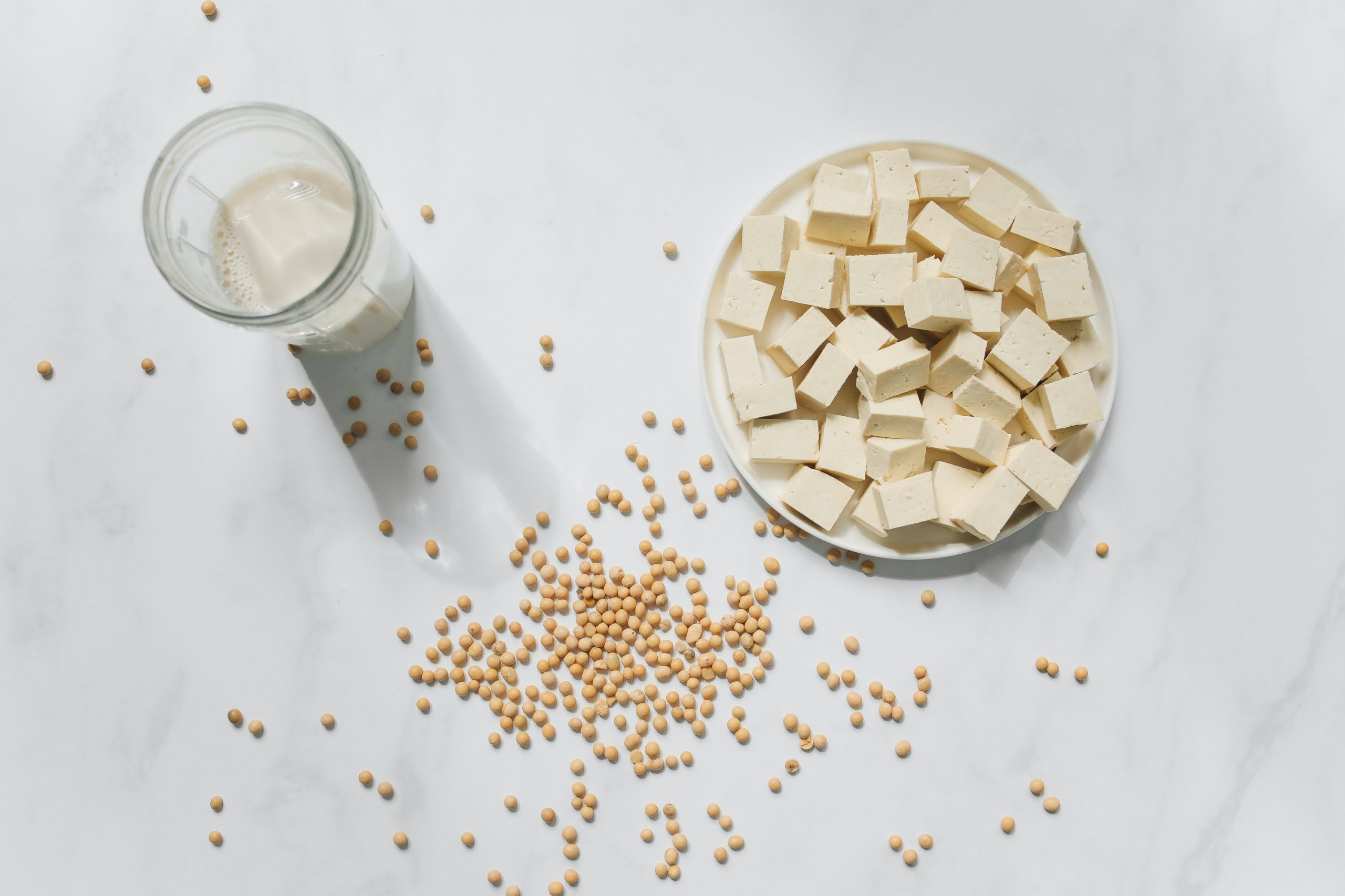 Leite de soja, soja em grãos e tofu. Foto: Polina Tankilevitch/Pexels