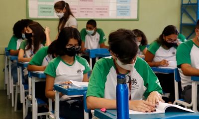 Na nova grade curricular, os alunos poderão se aprofundar em conteúdos de Linguagem, Financeiro, Técnicos e Ambientais, entre outros. Foto: Divulgação/Sedu