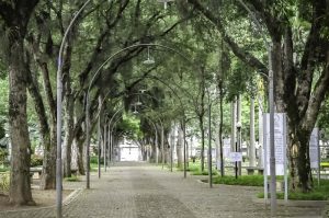 Parque Moscoso, no Centro de Vitória. Foto: Leonardo Silveira
