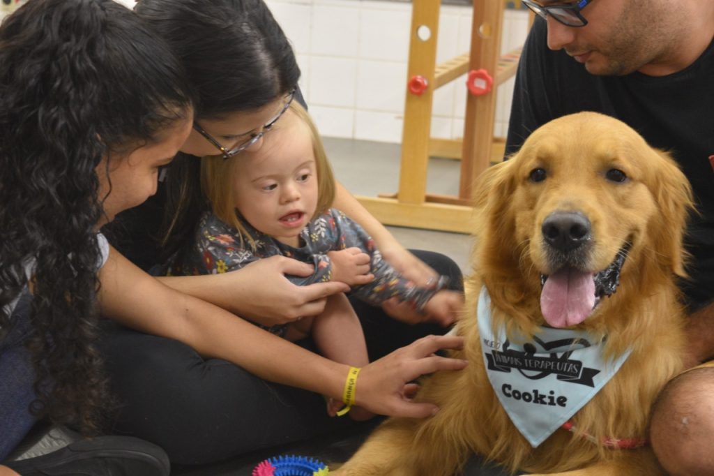 Animais Terapeutas em terapia com crianças com Síndrome de Down. Foto: Divulgação