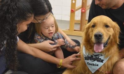 Animais Terapeutas em terapia com crianças com Síndrome de Down. Foto: Divulgação