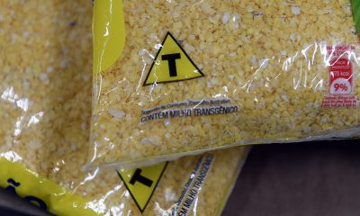 ALIMENTO-TRANSGÊNICO