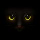Gato preto. Foto: FreePik