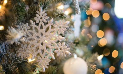 Árvore de Natal. Foto: Pixabay