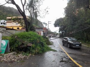Queda de árvore em Vila Velha. Foto: Internauta