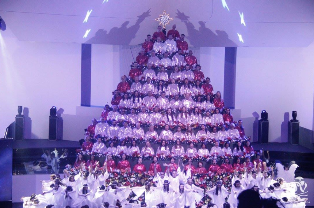 Árvore que Canta da Primeira Igreja Batista de Vitória. Foto: Reprodução/Facebook