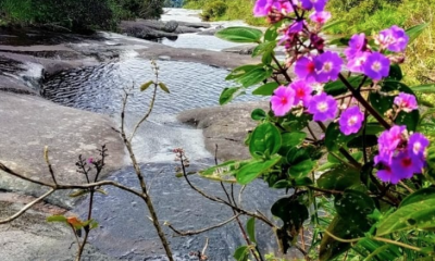 Parque Estadual Pedra Azul. Foto: Reprodução/Instagram