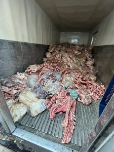 Apreensão de carne em Vila Velha. Foto: PMVV